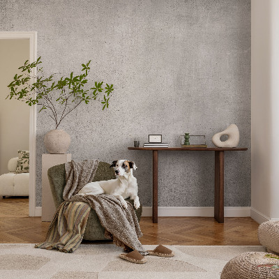 Fotobehang voor de woonkamer Betonpatroon