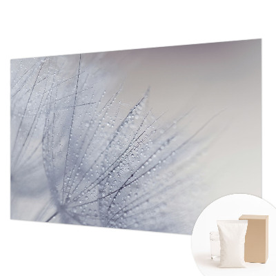 Vliesbehang fotobehang met een motief van dauwige paardenbloemen