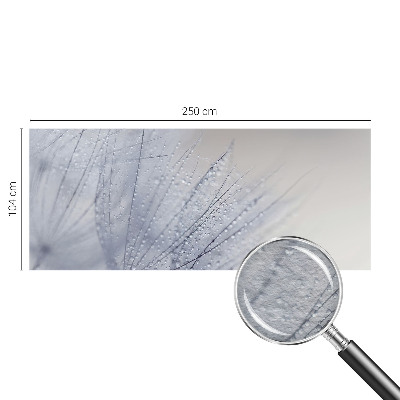 Vliesbehang fotobehang Dauwige paardenbloem