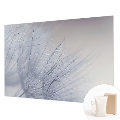 Vliesbehang fotobehang met een motief van dauwige paardenbloemen