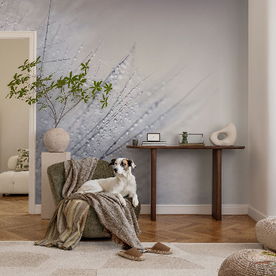 Vliesbehang fotobehang met een motief van dauwige paardenbloemen