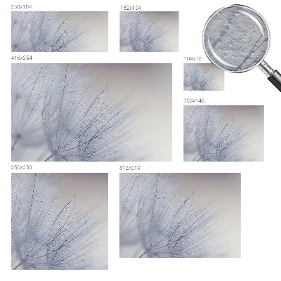 Vliesbehang fotobehang Dauwige paardenbloem