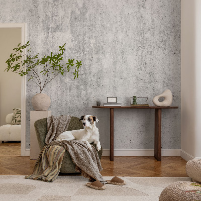 Fotobehang vlies Betonnen muur