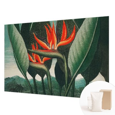 Sfeervol fotobehang met een patroon van exotische bloemen