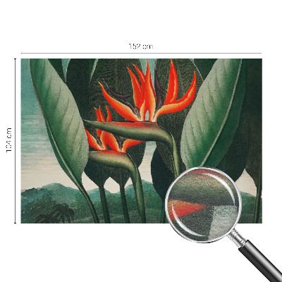 Sfeervol fotobehang met een patroon van exotische bloemen
