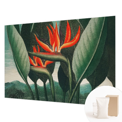 Sfeervol fotobehang met een patroon van exotische bloemen