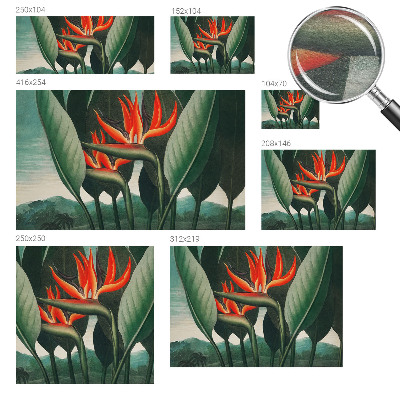 Sfeervol fotobehang Exotische bloemen