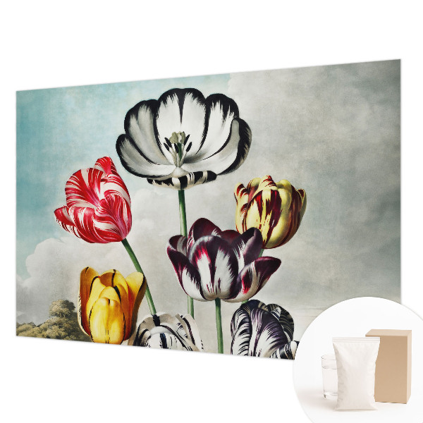 Hoogwaardig fotobehang Kleurrijke tulpen