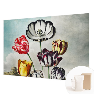 Hoogwaardig fotobehang Kleurrijke tulpen