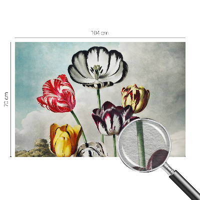 Hoogwaardig fotobehang Kleurrijke tulpen