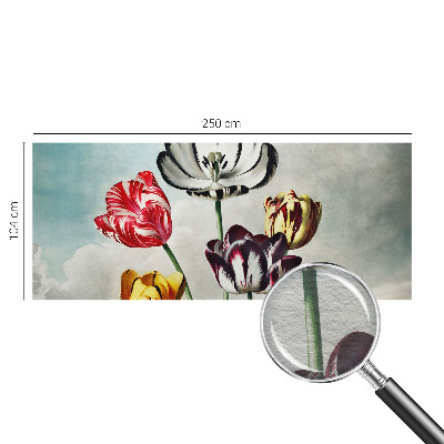 Hoogwaardig fotobehang Kleurrijke tulpen