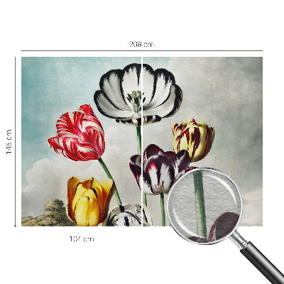 Hoogwaardig fotobehang Kleurrijke tulpen