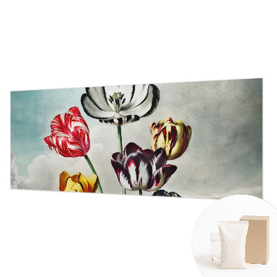 Hoogwaardig fotobehang Kleurrijke tulpen