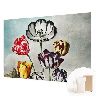 Hoogwaardig fotobehang Kleurrijke tulpen