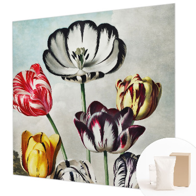 Hoogwaardig fotobehang Kleurrijke tulpen