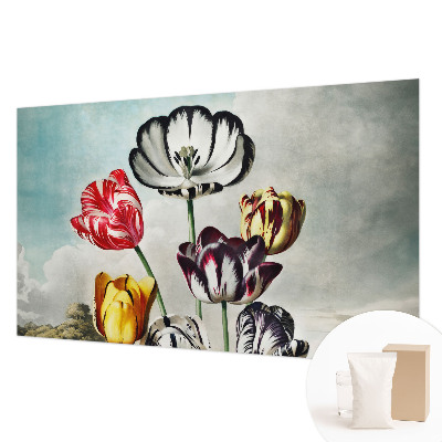 Hoogwaardig fotobehang Kleurrijke tulpen