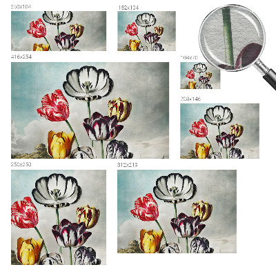Hoogwaardig fotobehang Kleurrijke tulpen