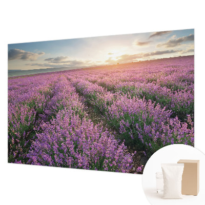Fotobehang naadloos Lavendelvelden