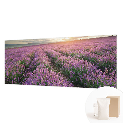 Fotobehang naadloos Lavendelvelden