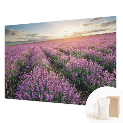 Fotobehang naadloos Lavendelvelden