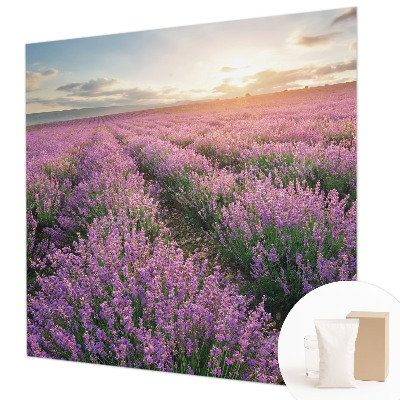 Fotobehang naadloos Lavendelvelden