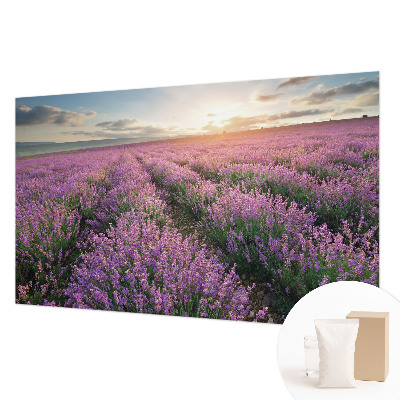 Fotobehang naadloos Lavendelvelden