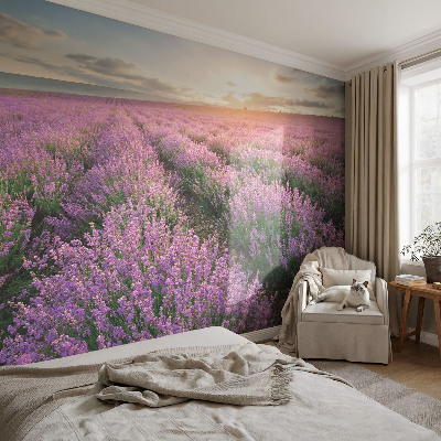 Fotobehang naadloos Lavendelvelden