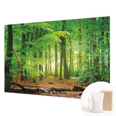 Fotobehang woonkamer Groen bos