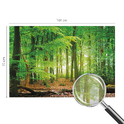 Fotobehang woonkamer Groen bos