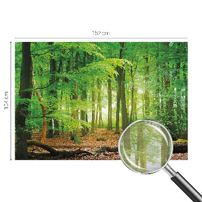 Fotobehang woonkamer Groen bos