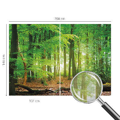 Fotobehang woonkamer Groen bos