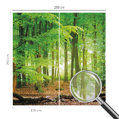 Fotobehang woonkamer Groen bos