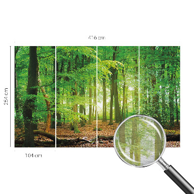 Fotobehang woonkamer Groen bos
