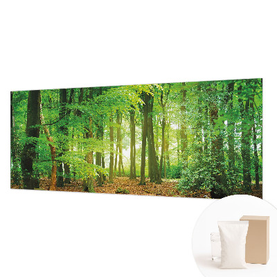 Fotobehang woonkamer Groen bos