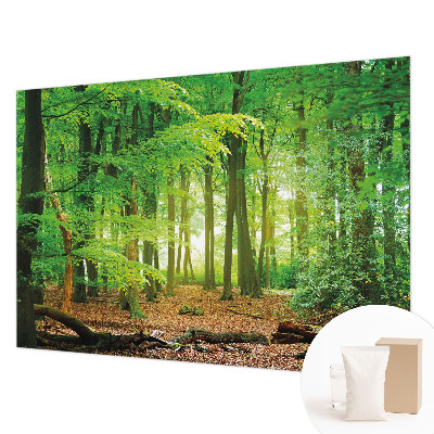 Fotobehang woonkamer Groen bos