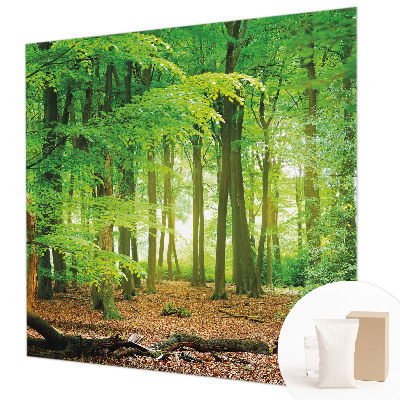 Fotobehang woonkamer Groen bos