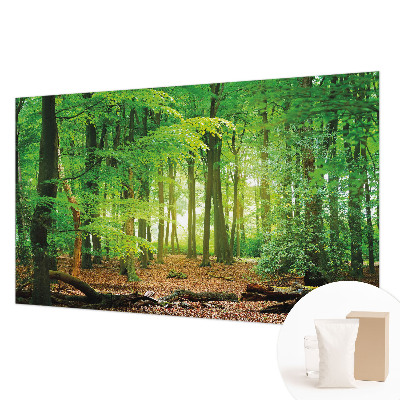 Fotobehang woonkamer Groen bos