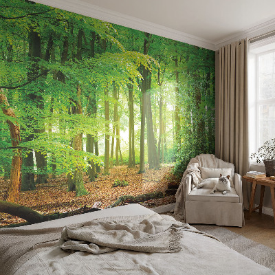 Fotobehang woonkamer Groen bos