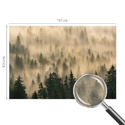 Modern fotobehang voor de woonkamer Bosmist