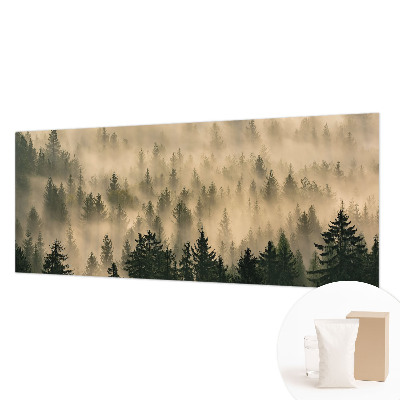 Modern fotobehang voor de woonkamer Bosmist