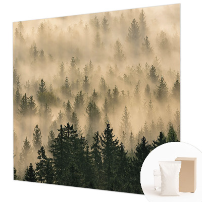 Modern fotobehang voor de woonkamer Bosmist