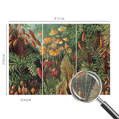 Fotobehang op maat Exotische tuin
