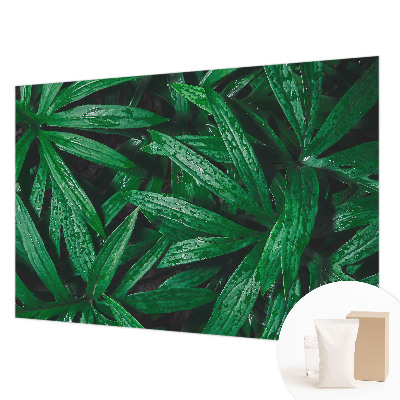 Sfeervol fotobehang met natuurlijke begroeiing