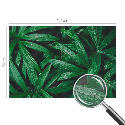 Sfeervol fotobehang met natuurlijke begroeiing