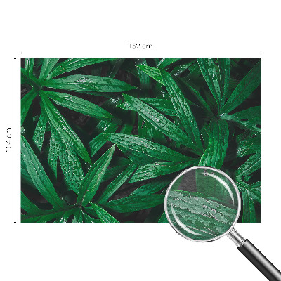 Sfeervol fotobehang Natuurlijke begroeiing