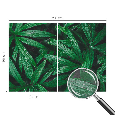 Sfeervol fotobehang Natuurlijke begroeiing