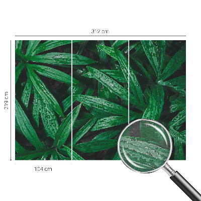 Sfeervol fotobehang Natuurlijke begroeiing