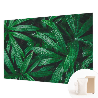 Sfeervol fotobehang met natuurlijke begroeiing