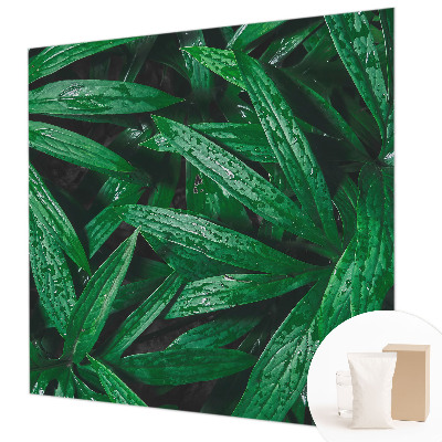 Sfeervol fotobehang Natuurlijke begroeiing