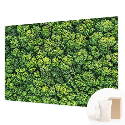 Naadloos fotobehang Bospanorama